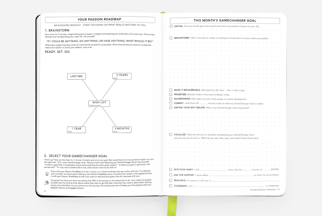 passion planner makes a great gift for someone taking a break from alcohol