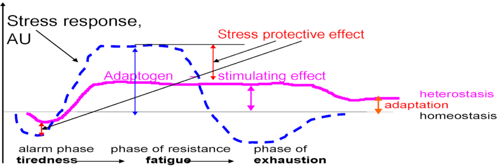 graph of body's response to stress with and without adaptogens