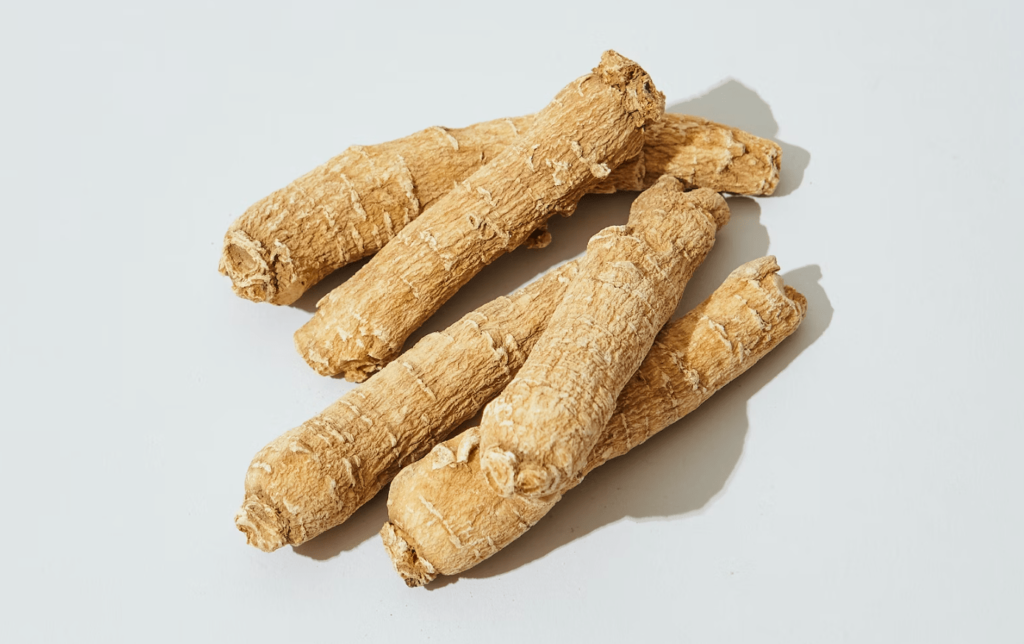 ginseng top adaptogens benefit