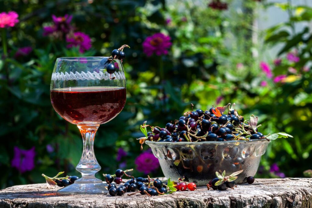 blackcurrant cordial irish non-alcoholic beverages